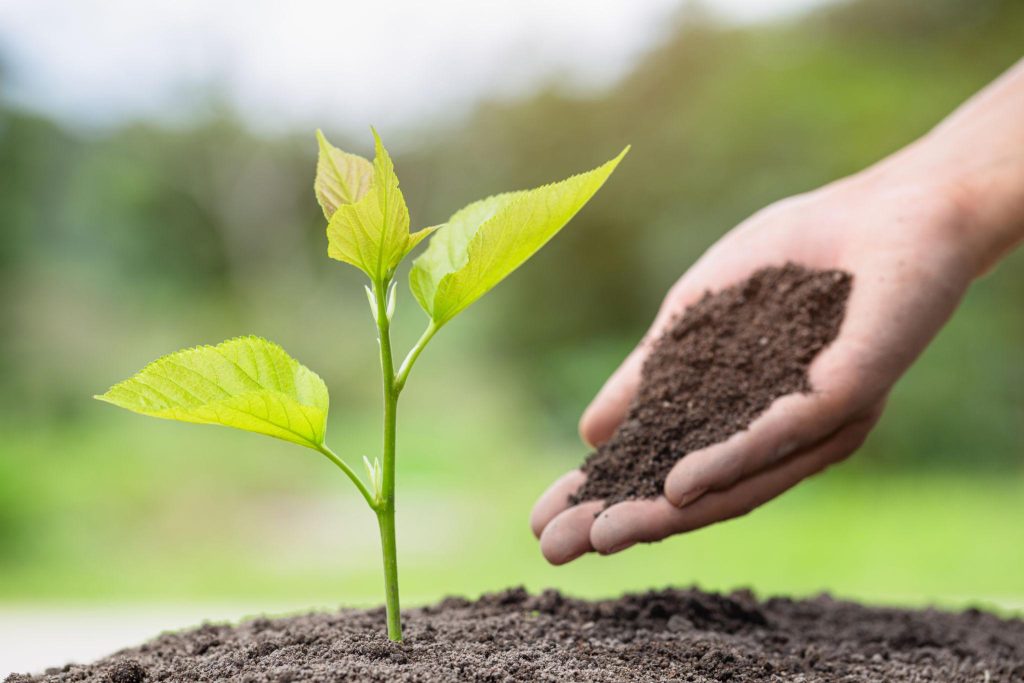 World Environment Day